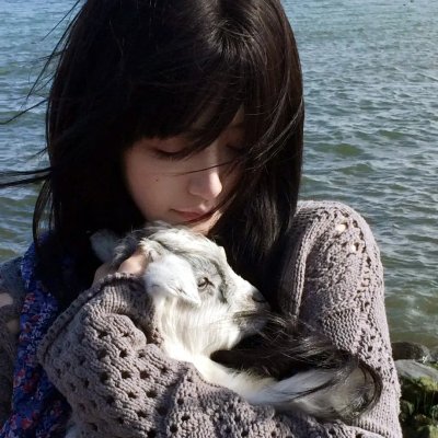 少年泰坦出击第五季